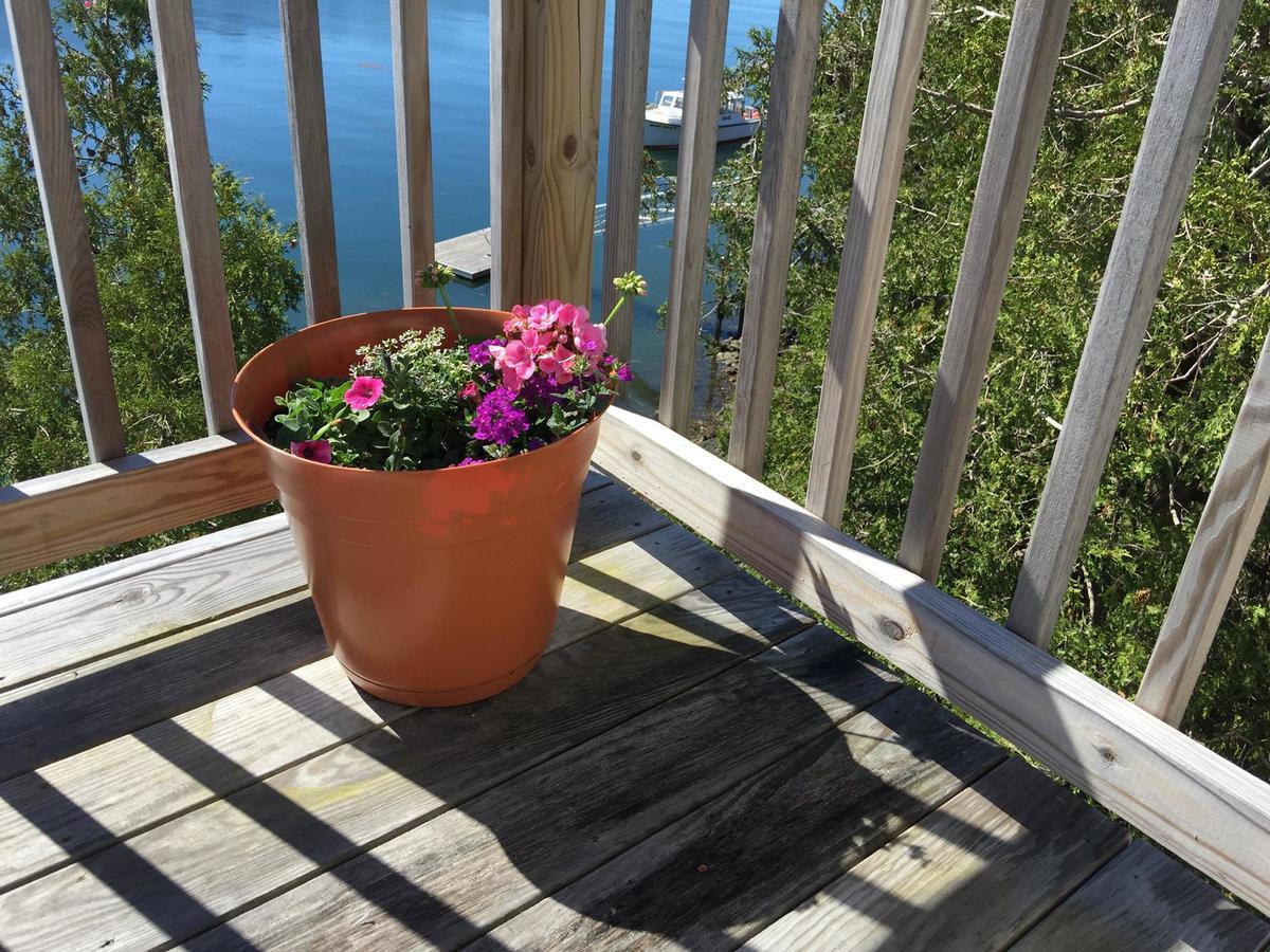 Quahog Bay Inn Harpswell Экстерьер фото